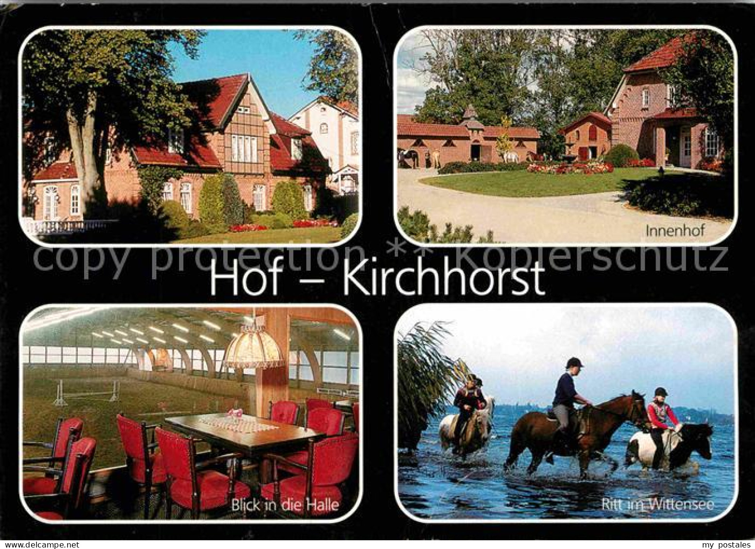 72783243 Gross Wittensee Reiterferien Hof Kirchhorst Wittensee Gross Wittensee - Andere & Zonder Classificatie