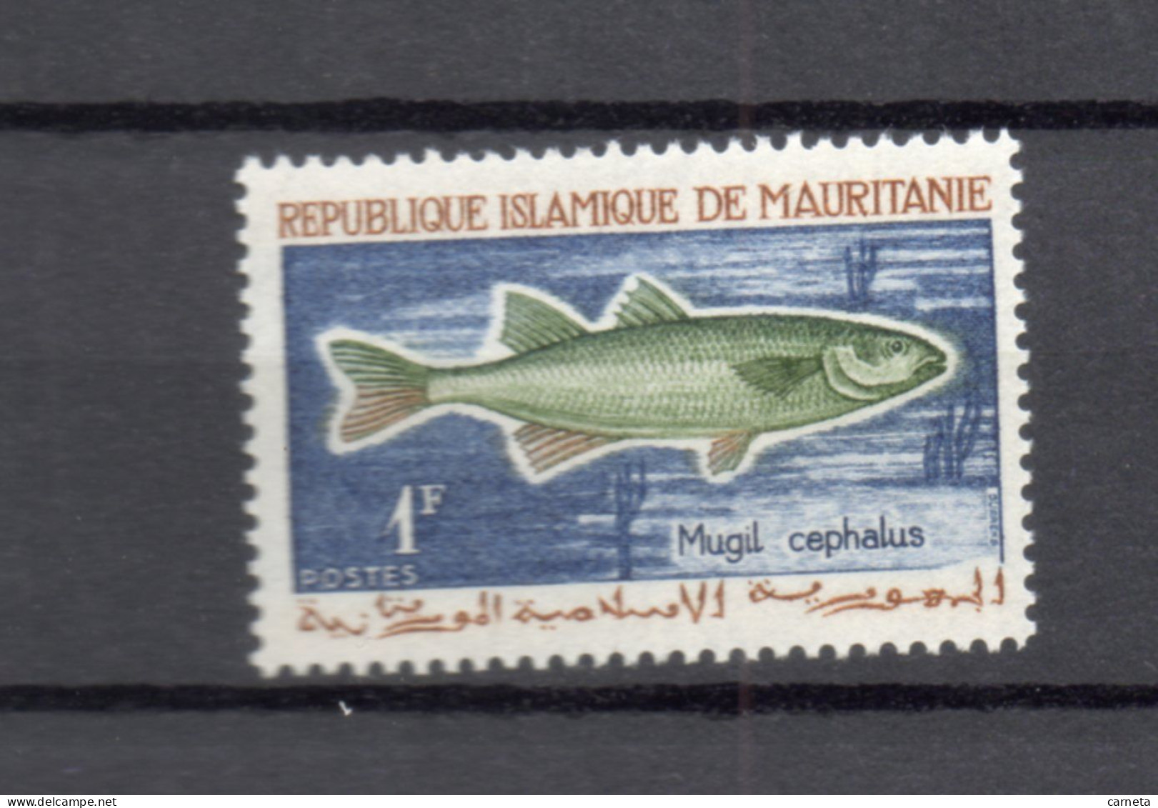 MAURITANIE  N° 179    NEUF SANS CHARNIERE   COTE 0.40€    POISSON ANIMAUX FAUNE - Mauritanie (1960-...)