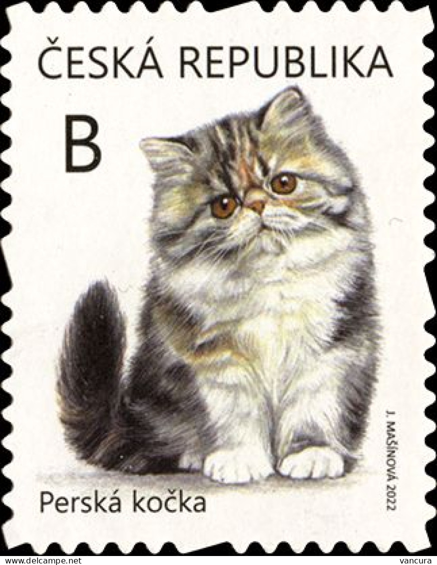 ** 1164 - 5 Czech Republic Kittens 2022 - Katten