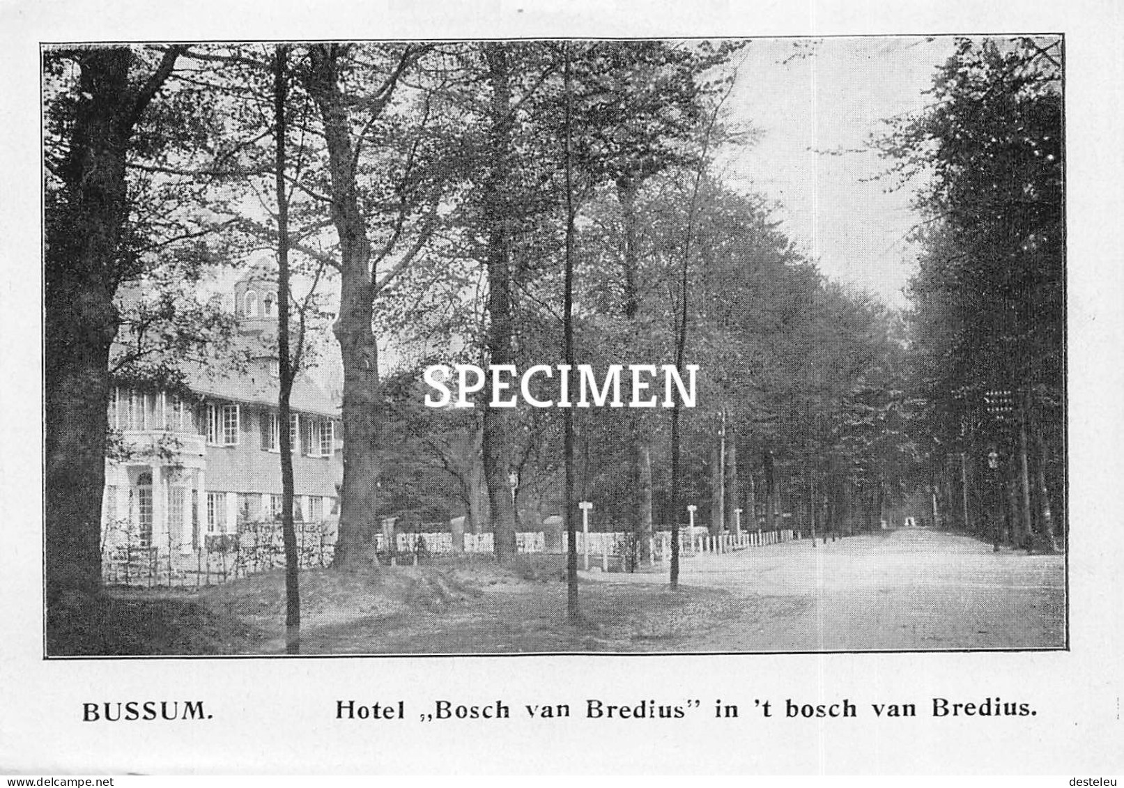 Prent - Hotel Bosch Van Bredius In 't Bosch Van Bredius - Bussum   - 8.5x12.5 Cm - Bussum