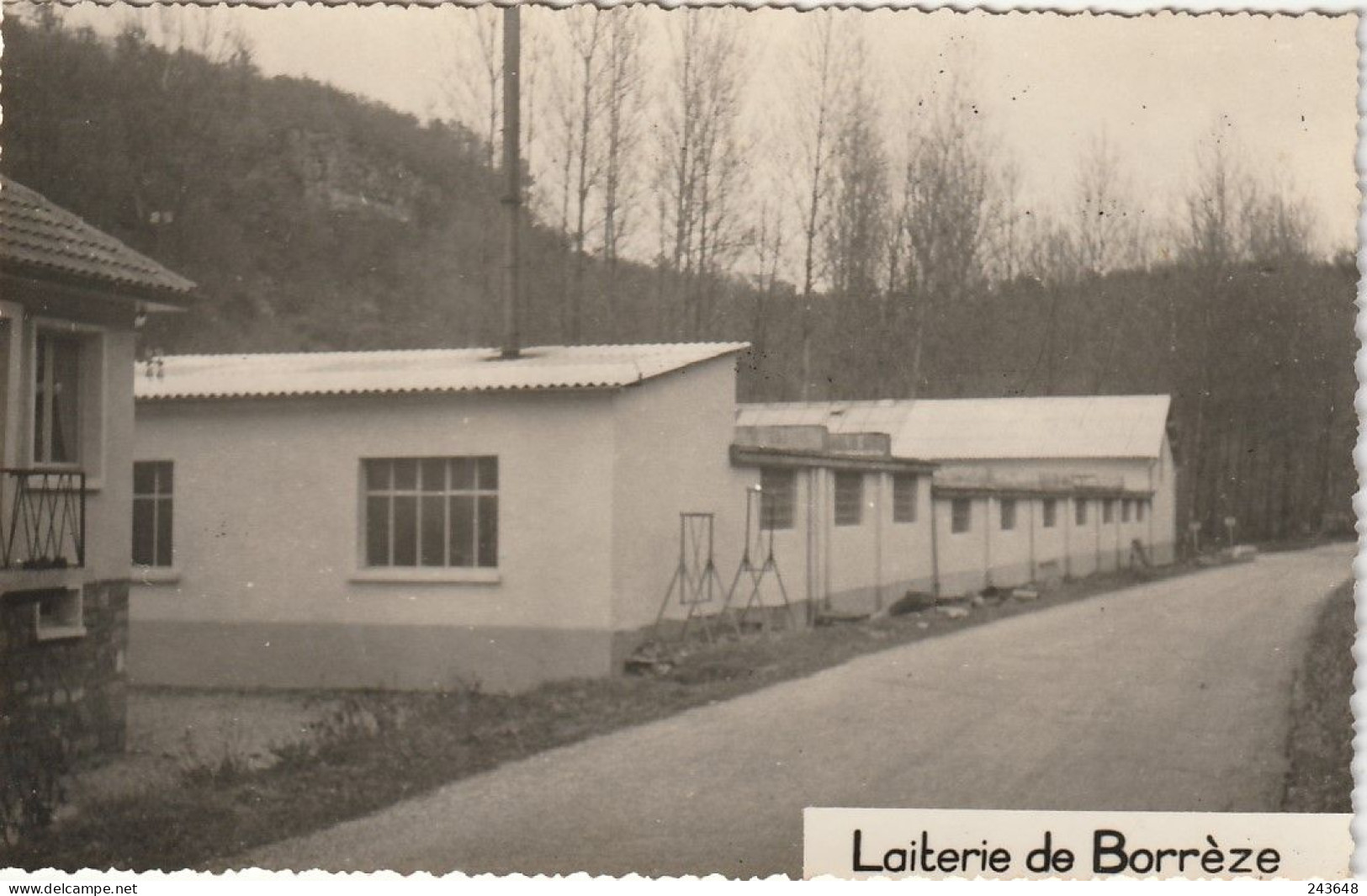 Borrèze Lot De 2 Cartes Photo Laiterie De Borrèze - Altri & Non Classificati