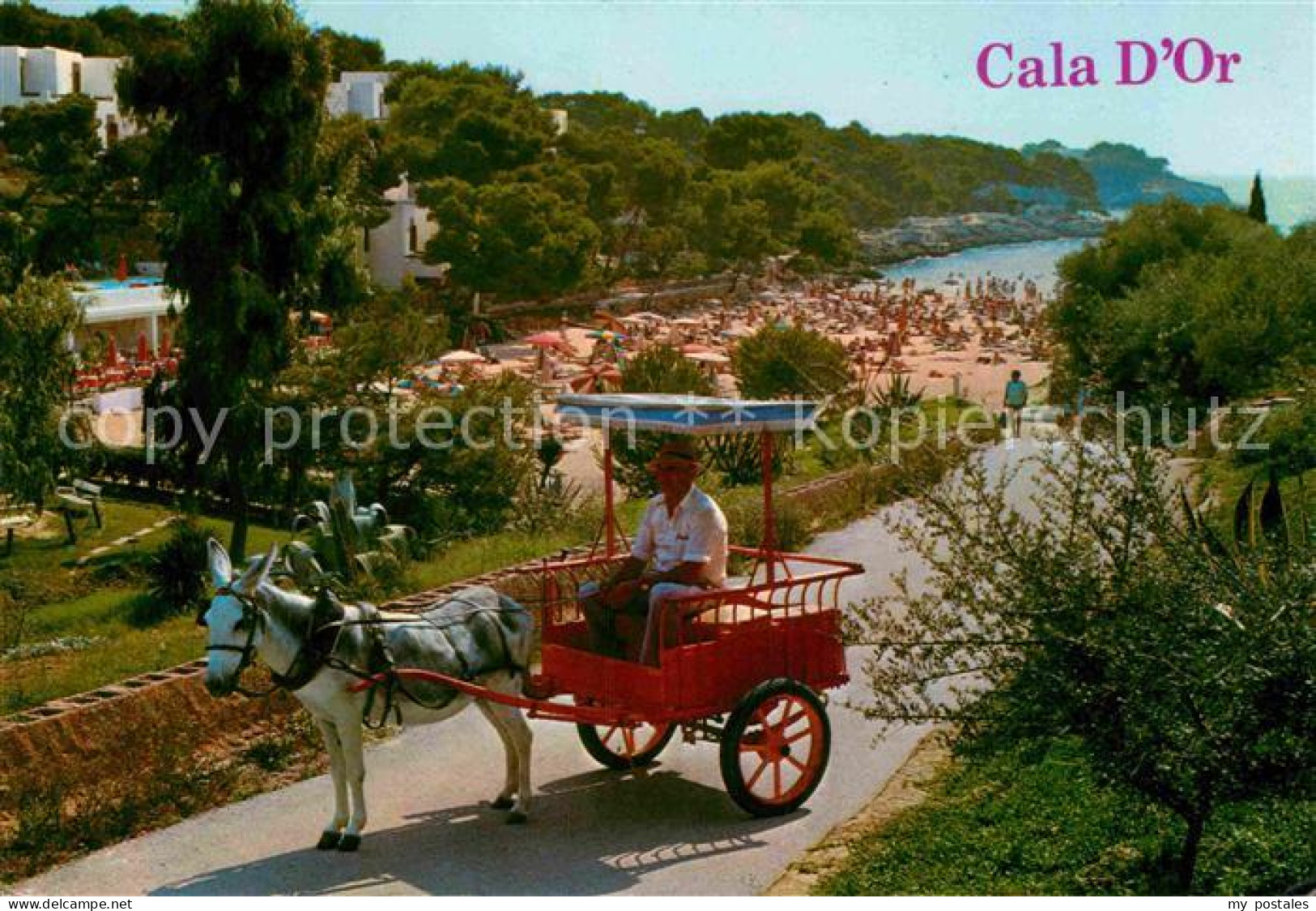 72782595 Cala D Or Eselkutsche Mallorca - Sonstige & Ohne Zuordnung
