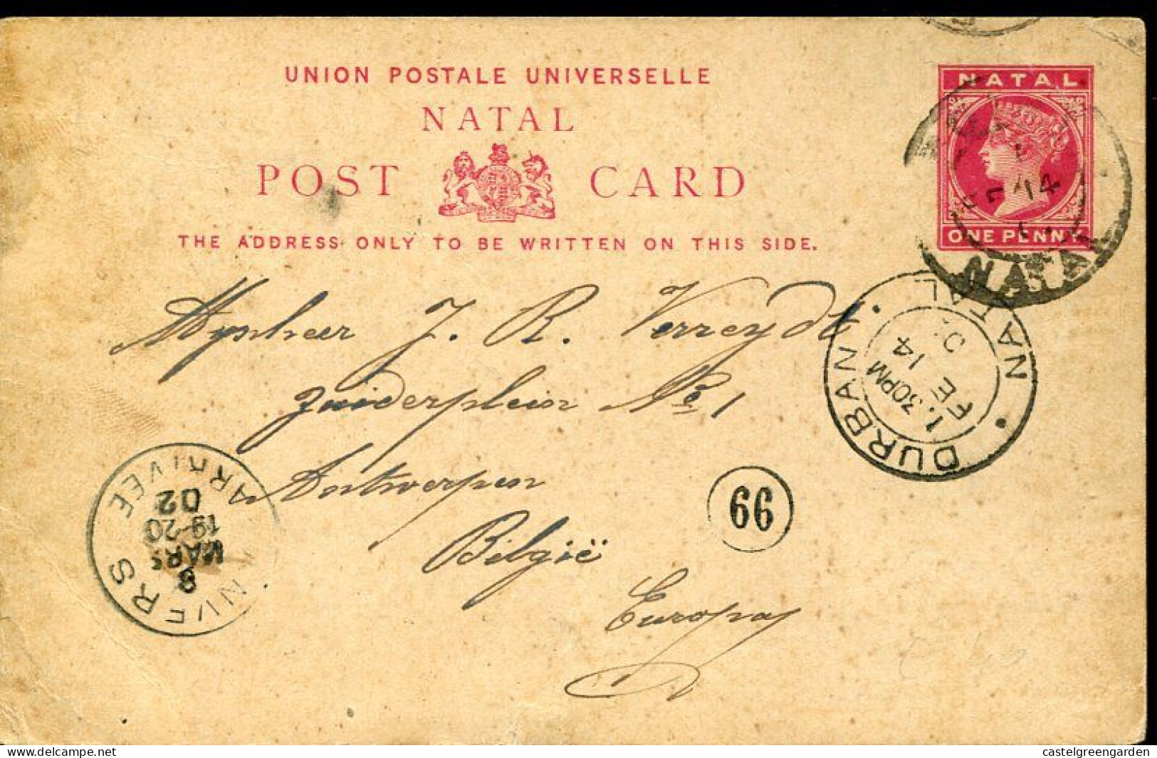 X0553 Natal(south Africa)stationert Card Circuled 1902 To Belgium,the Bluff Durban From Bluff,jinricksha - Natal (1857-1909)