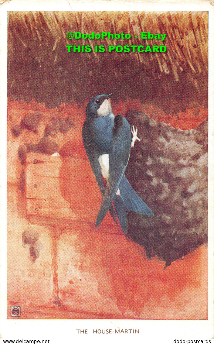 R359431 The House Martin. Valentine. Winifred Austen Bird Series. 1960 - Monde