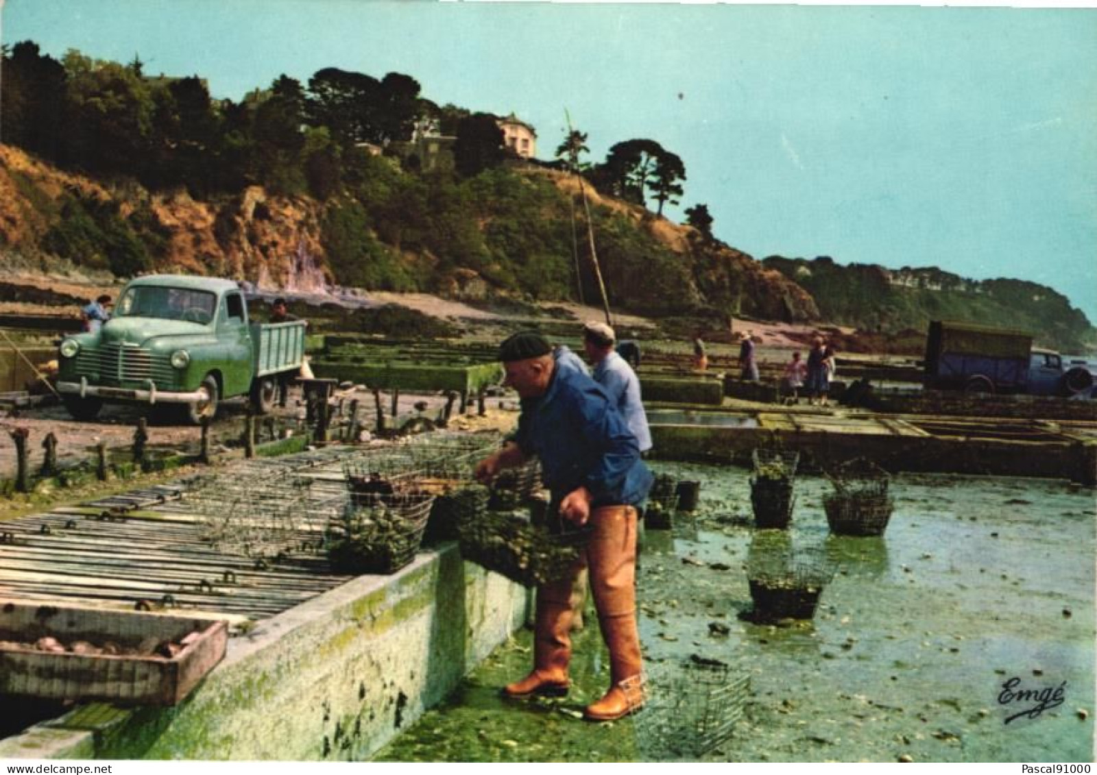 CANCALE : Centre D'élevage Des Huitres Le Parc à Huitres - Cancale