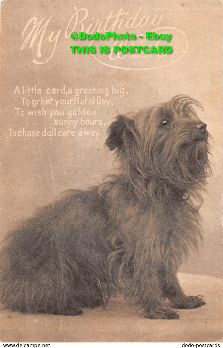 R359471 My Birthday Wish. Dog. No. 1034. Postcard - World