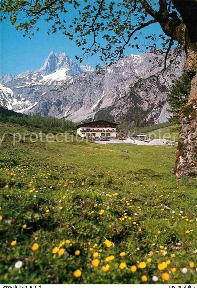 72781811 Pertisau Achensee Almwiese Alpengasthof Gramai Karwendelgebirge Maurach - Sonstige & Ohne Zuordnung