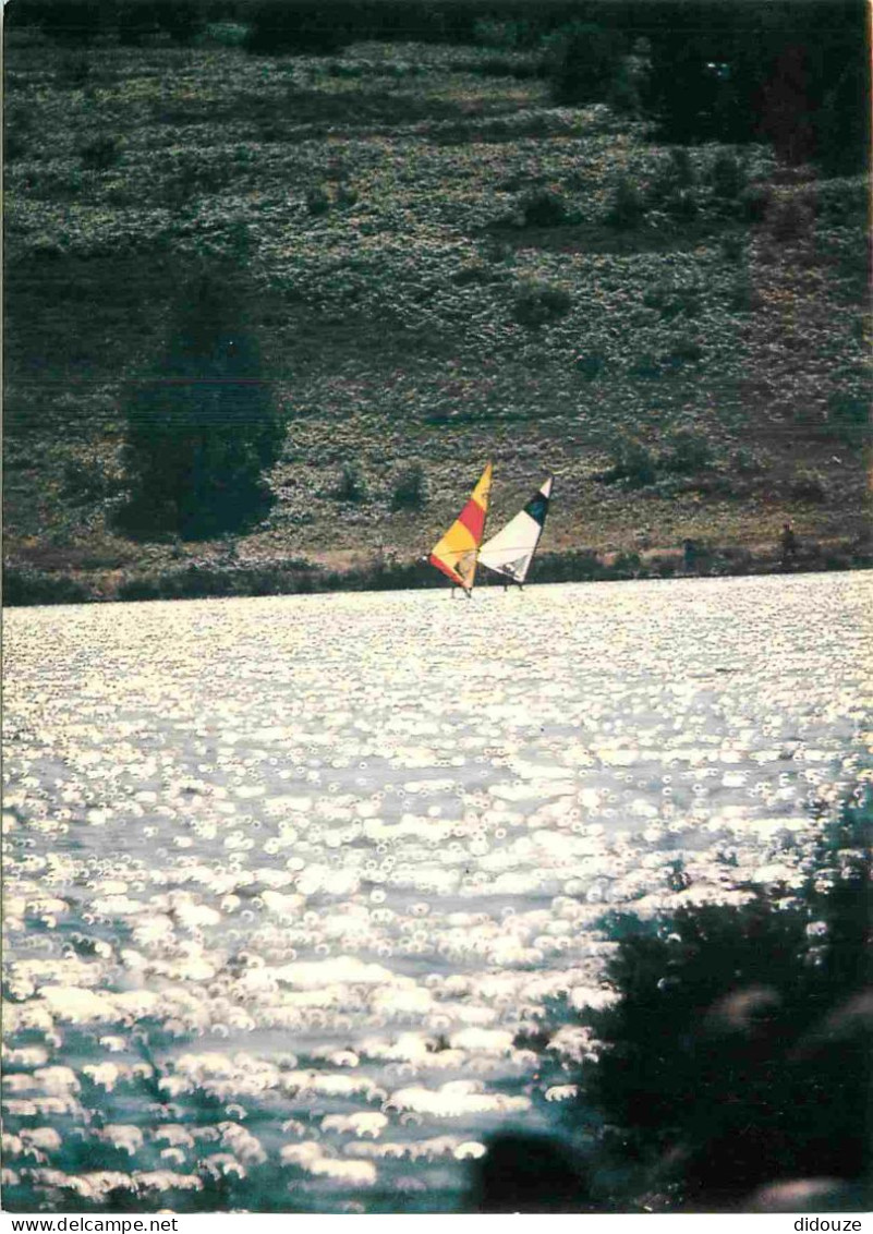 87 - Vassivière En Limousin - Le Lac De Vassivière - Planche à Voile - CPM - Carte Neuve - Voir Scans Recto-Verso - Sonstige & Ohne Zuordnung