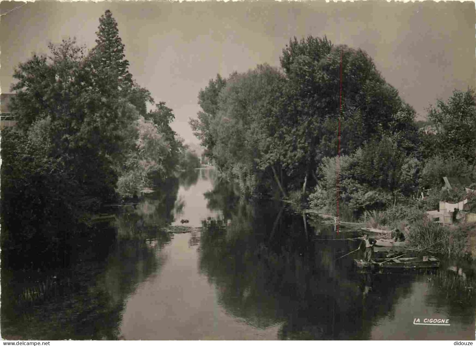 86 - Poitiers - Vue Sur Le Clain - Animée - Pecheurs à La Ligne - Carte Dentelée - CPSM Grand Format - Voir Scans Recto- - Poitiers