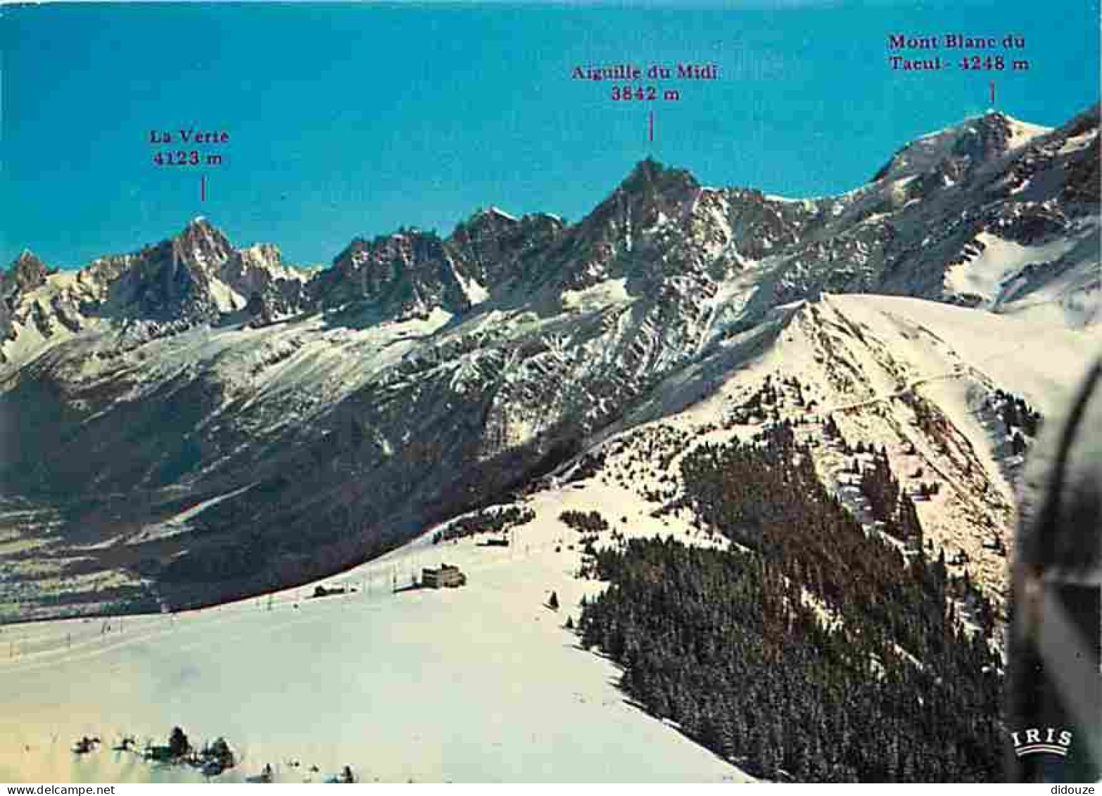 74 - Chamonix - Mont-Blanc - Depuis Le Col De Voza Panorama Sur Le Chardonnet - La Verte - Aiguilles De Chamonix - Aigui - Chamonix-Mont-Blanc