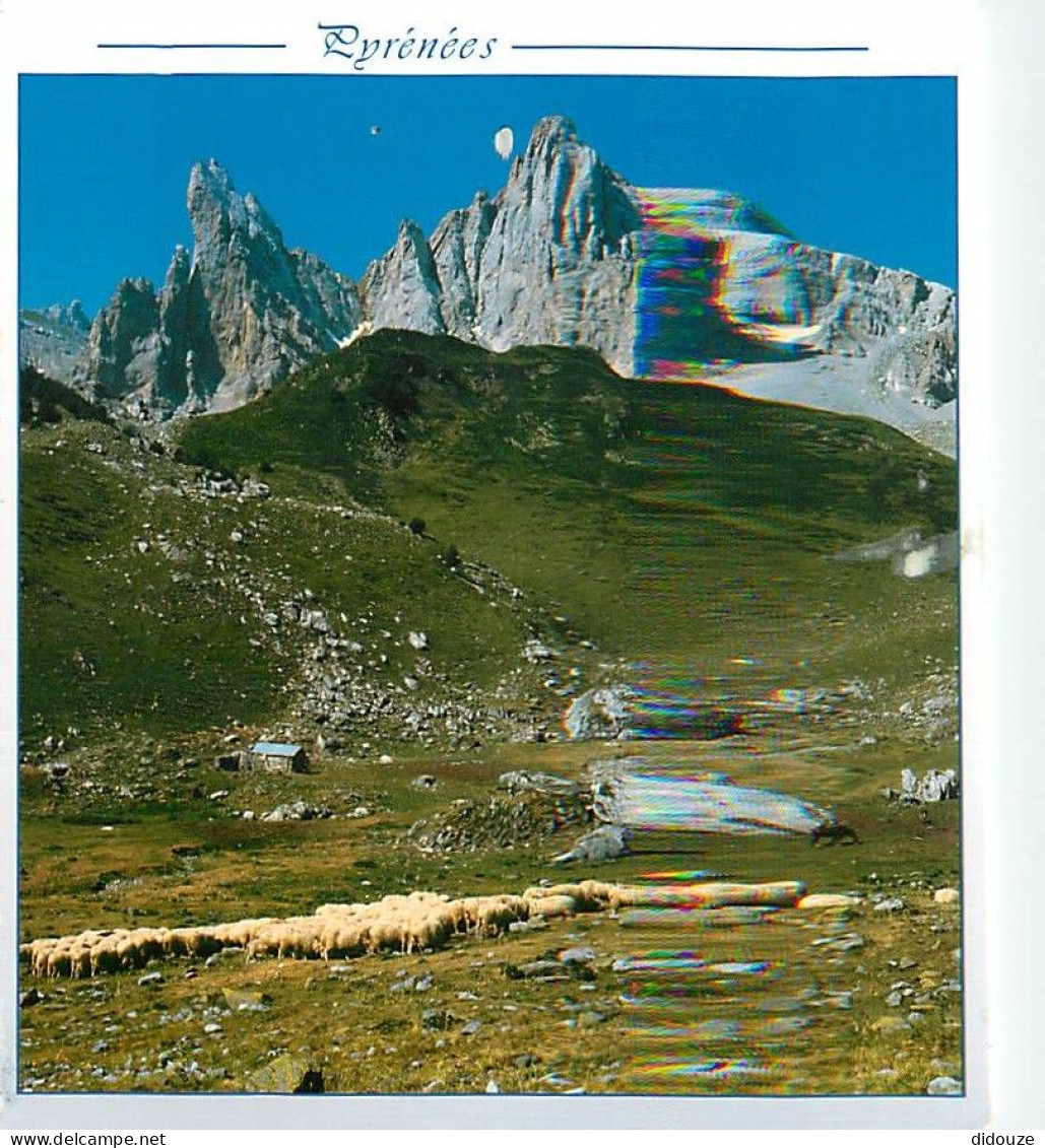 65 - Hautes Pyrénées - Vallée D'Aspe - Les Aiguilles D'Ansabère - Moutons - CPM - Voir Scans Recto-Verso - Andere & Zonder Classificatie