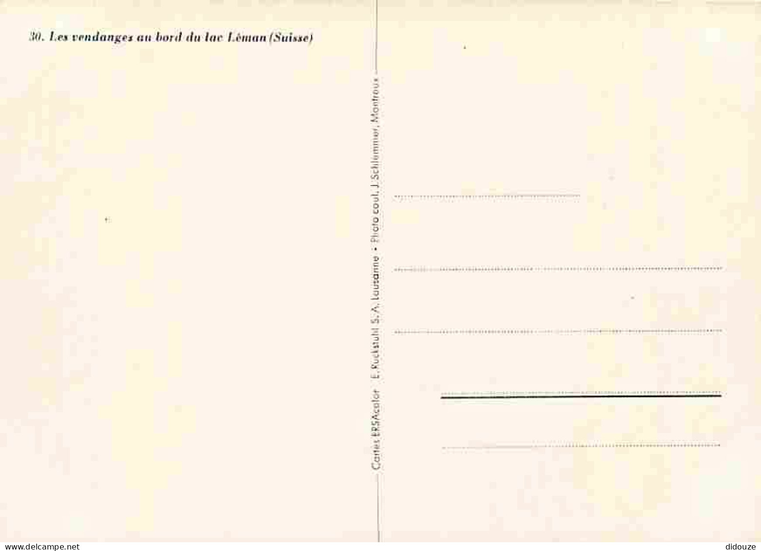 Suisse - Les Vendanges Au Bord Du Lac Léman - Multivues - CPM - Voir Scans Recto-Verso - Autres & Non Classés