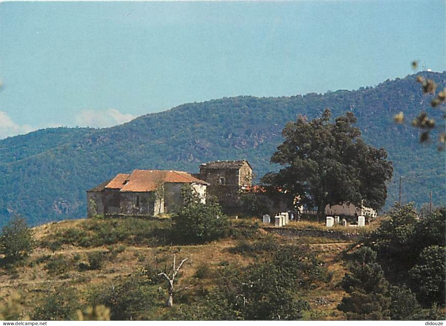 48 - Le Collet De Deze - Le Cap - Saint Hilaire De Lavit - CPM - Carte Neuve - Voir Scans Recto-Verso - Andere & Zonder Classificatie