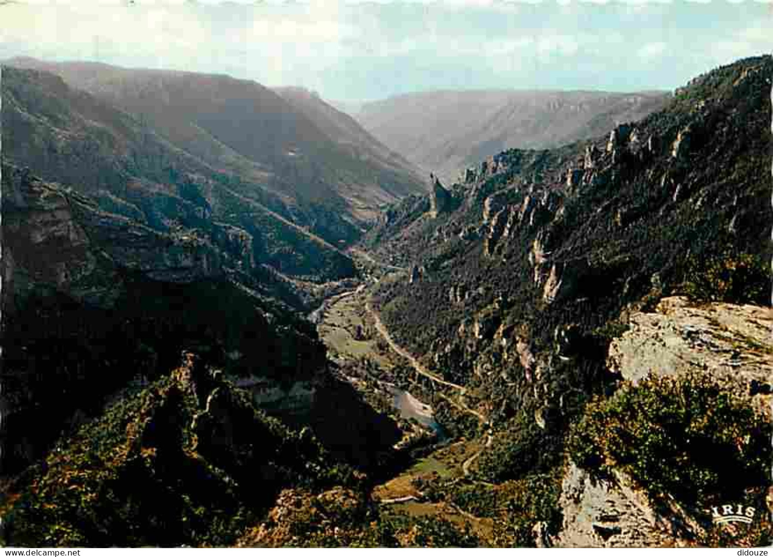 48 - Les Gorges Du Tarn - Le Point Sublime - CPM - Voir Scans Recto-Verso - Gorges Du Tarn