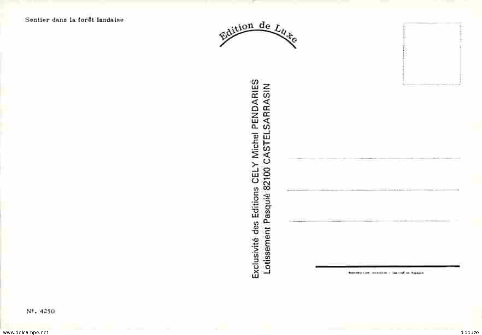 40 - Landes - Sentier Dans La Foret Landaise - CPM - Voir Scans Recto-Verso - Andere & Zonder Classificatie