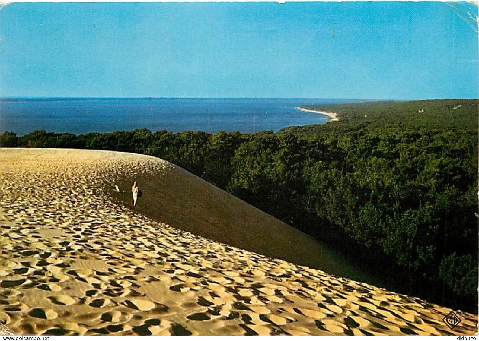 33 - Dune Du Pyla - Le Bassin Et La Forêt De Pins - Bassin D'Arcachon - CPM - Voir Scans Recto-Verso - Autres & Non Classés