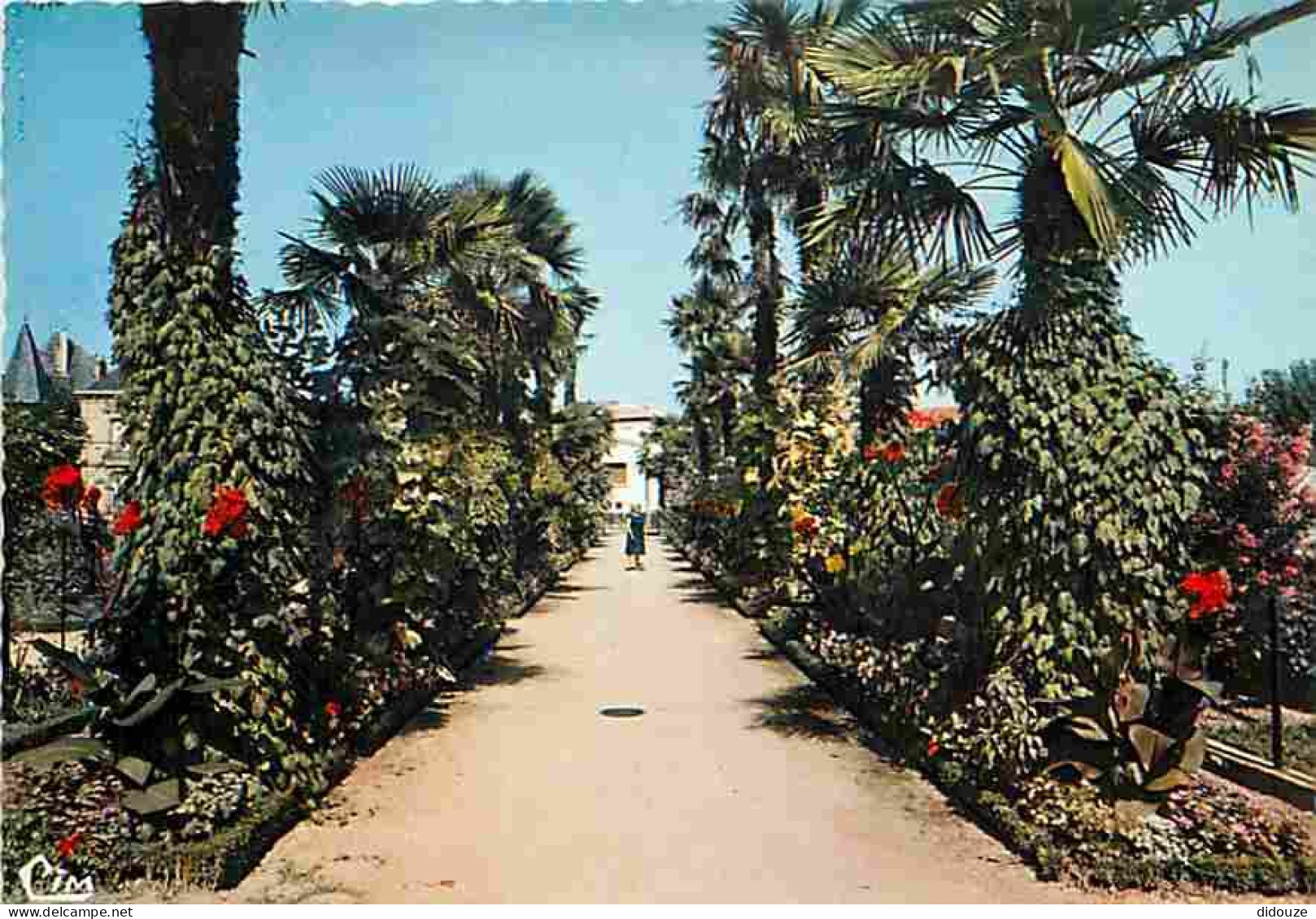 24 - Bergerac - Les Allées Bordées De Palmiers Au Jardin Public - CPM - Voir Scans Recto-Verso - Bergerac
