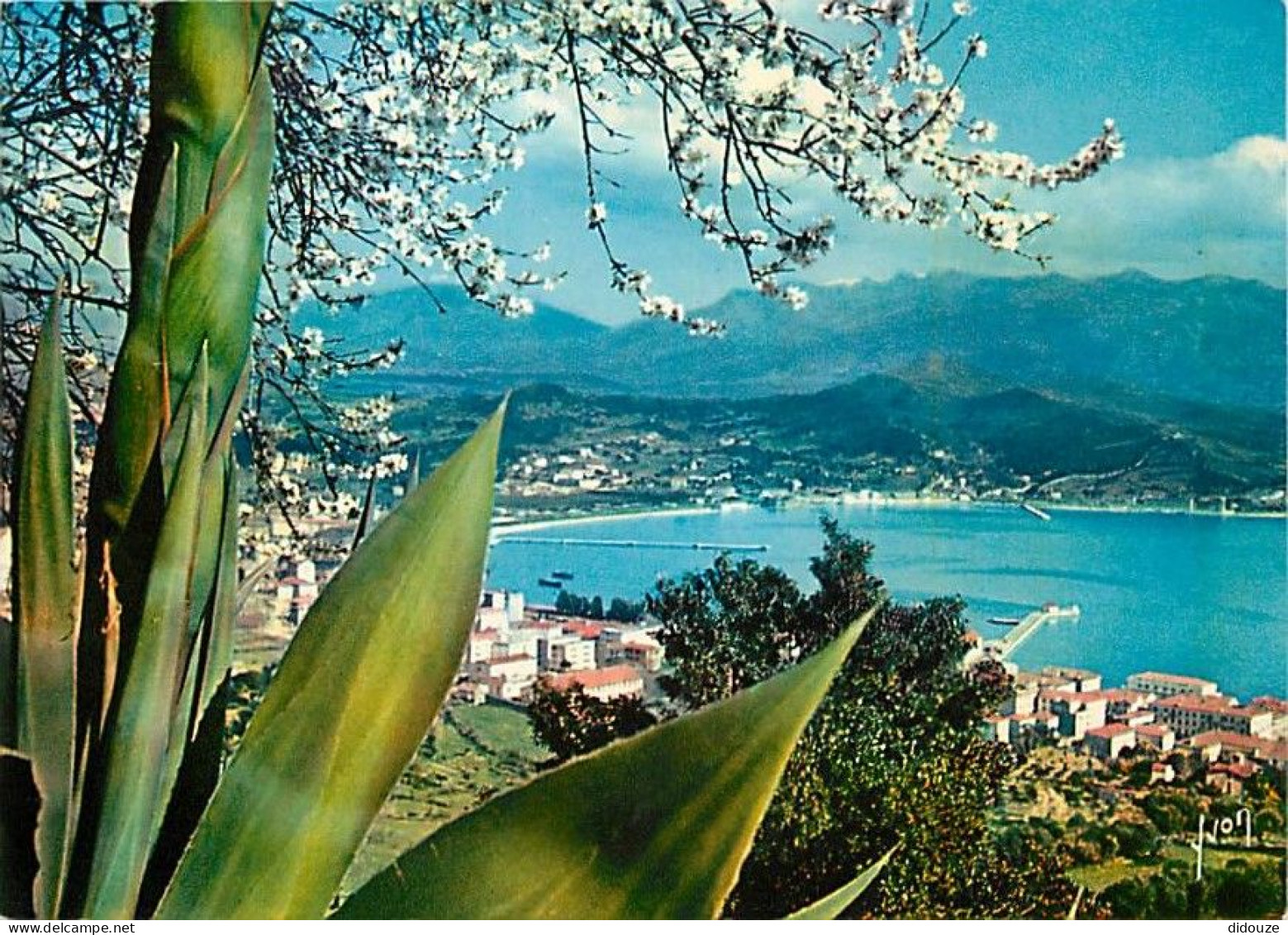 20 - Ajaccio - Vue Générale Sur La Ville Et Le Golfe - Carte Neuve - CPM - Voir Scans Recto-Verso - Ajaccio