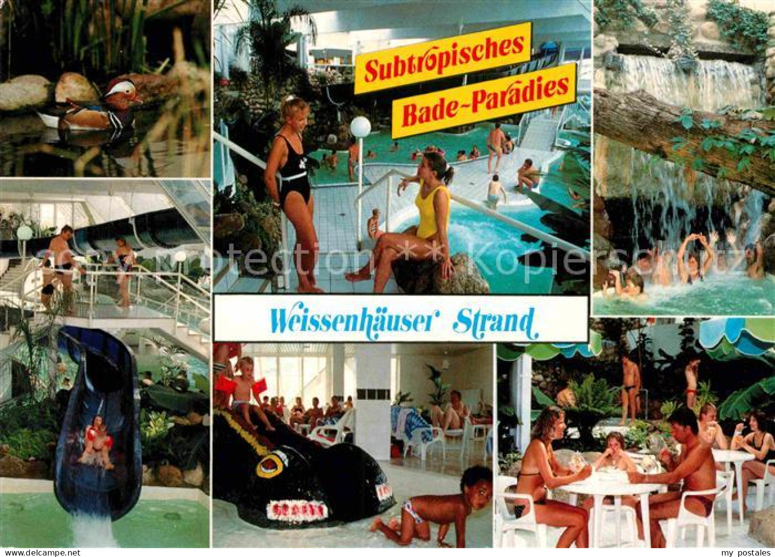 72781760 Weissenhaeuser Strand Subtropisches Badeparadies Weissenhaeuser Strand - Andere & Zonder Classificatie