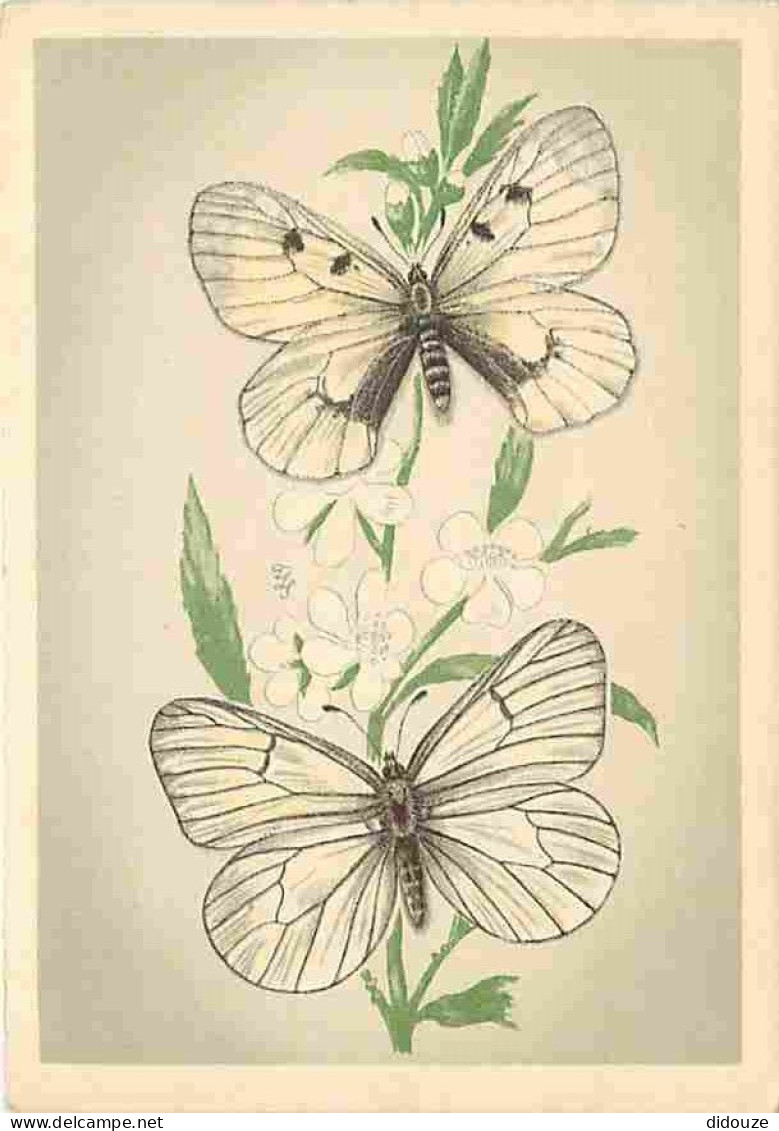 Animaux - Papillons - Papillons Diurnes D'Europe - Série 1 - 4a - Appolon Noir - Parnassius Mnemosyne L - 4b - Gazé - Ap - Butterflies