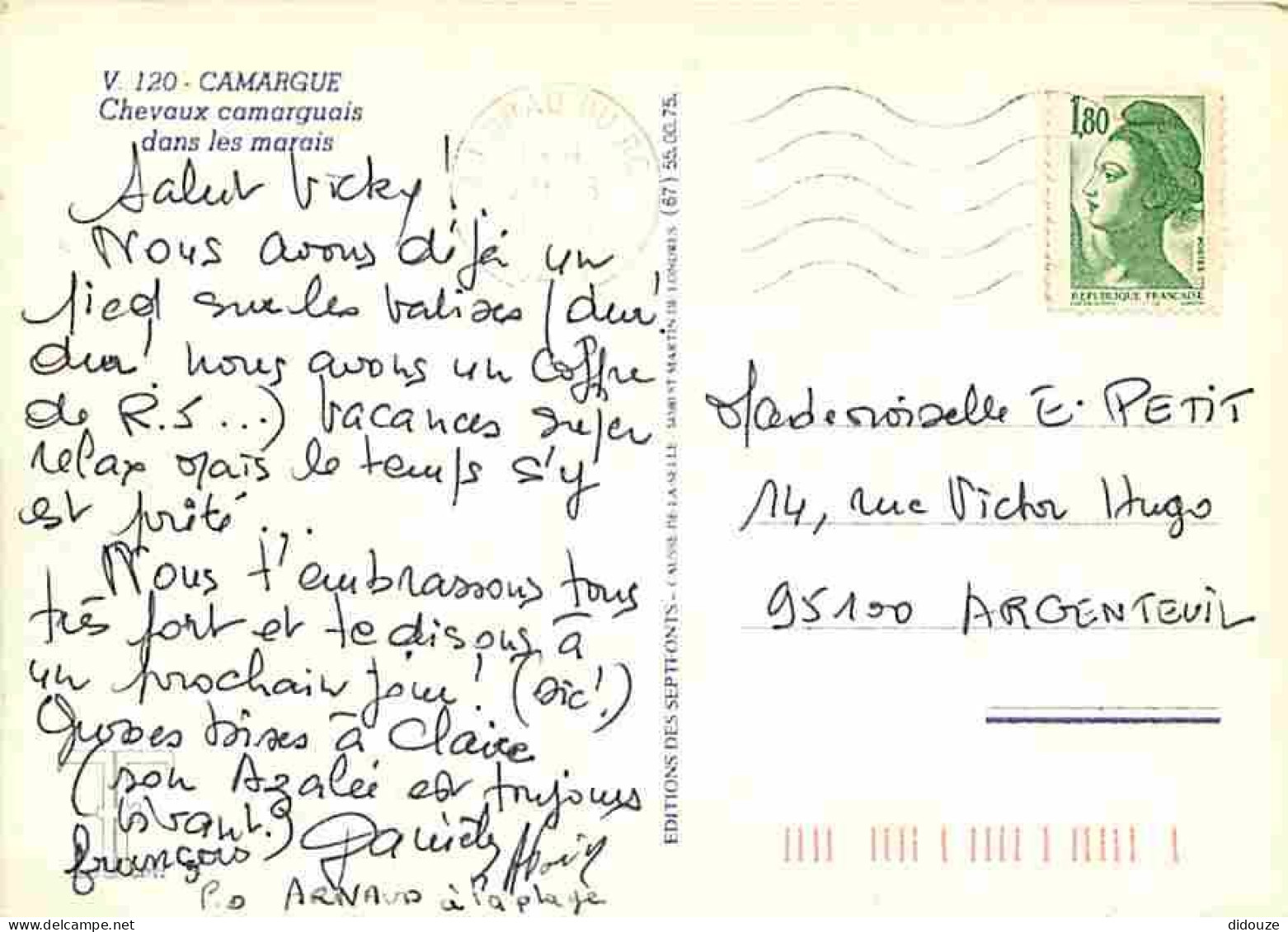 Animaux - Chevaux - Camargue - Chevaux Camarguais Dans Les Marais - CPM - Voir Scans Recto-Verso - Paarden