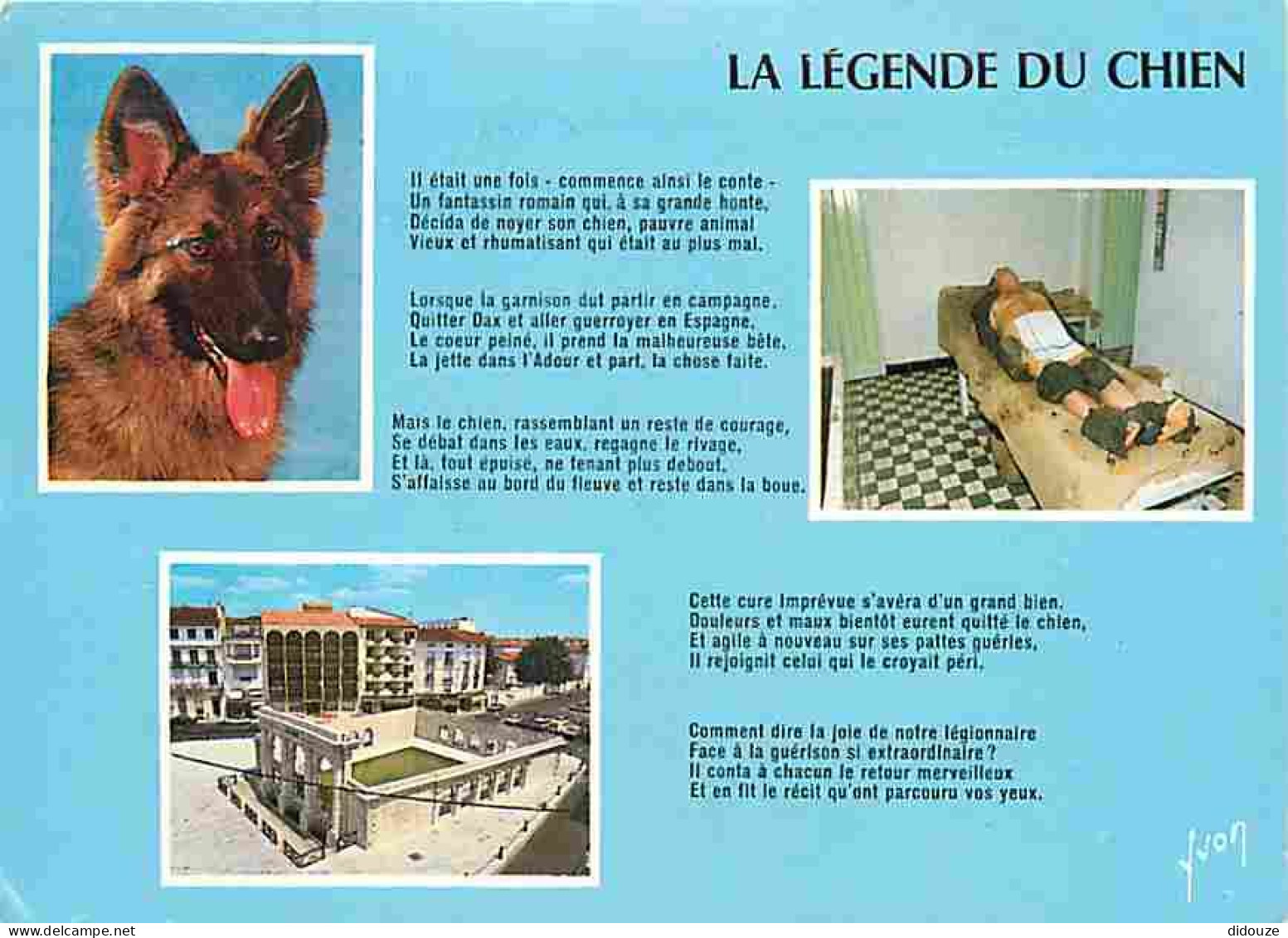 Animaux - Chiens - Race à Définir - Dax - Multivues - La Légende Du Chien - Flamme Postale - CPM - Voir Scans Recto-Vers - Dogs