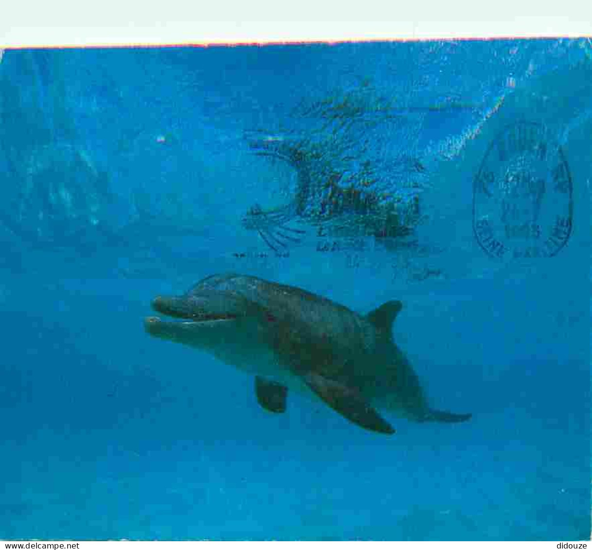 Animaux - Dauphins - CPM - Voir Scans Recto-Verso - Dolfijnen