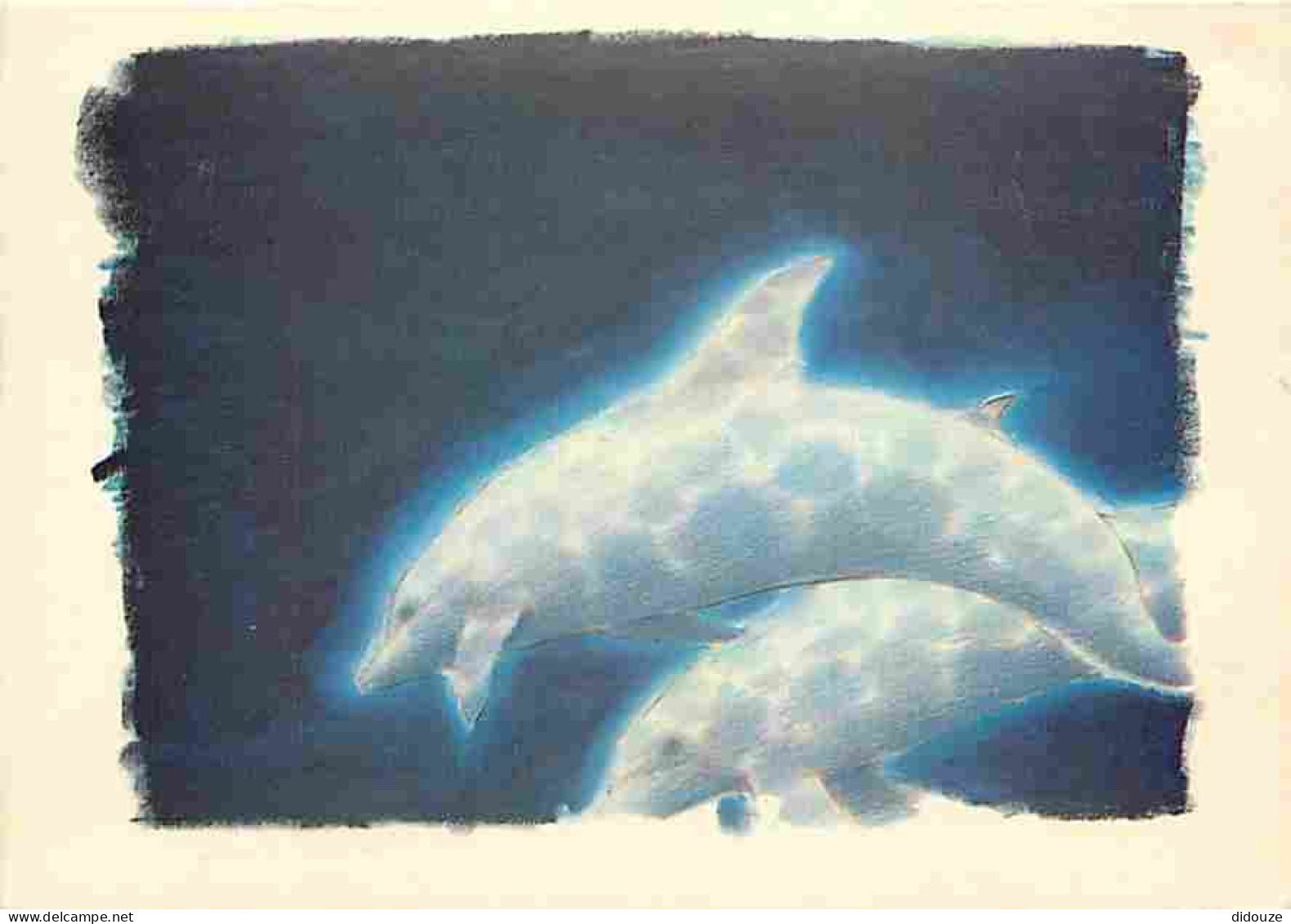 Animaux - Dauphins - CPM - Voir Scans Recto-Verso - Delphine