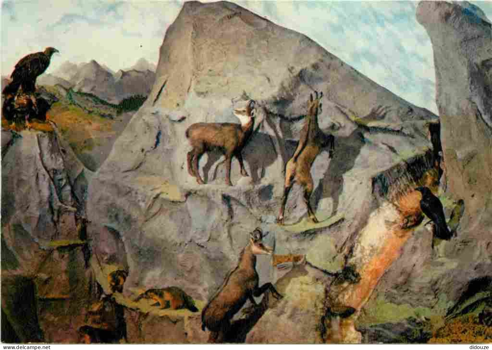 03 - Estivareilles - Le Manoir D'Estivareilles - Parc Et Musée Zoologique Aux Environs De Montluçon - Le Musée - Chamois - Altri & Non Classificati