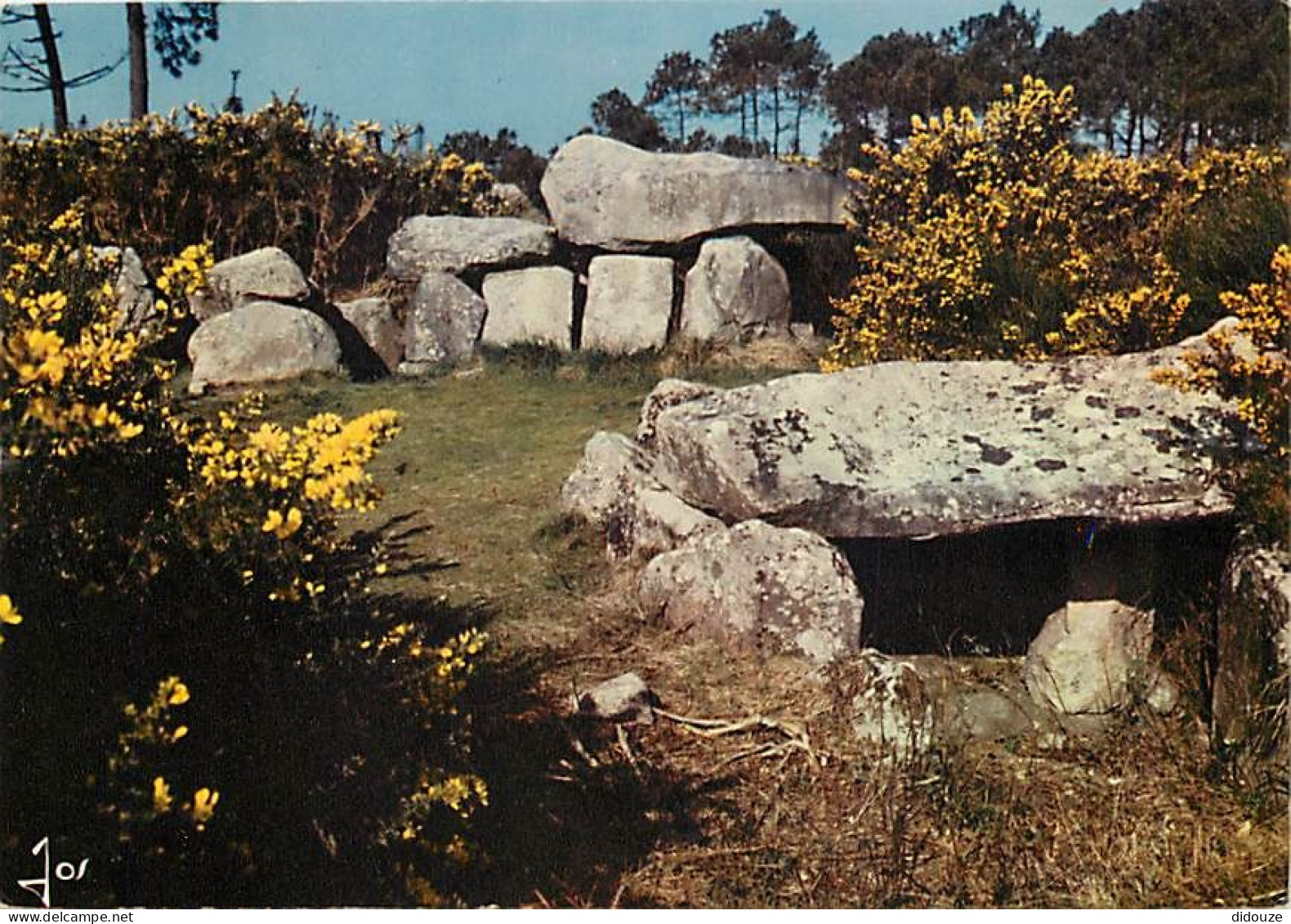 56 - Morbihan - Monuments Mégalithiques De Mané-Kerioned Près De Carnac - CPM - Voir Scans Recto-Verso - Sonstige & Ohne Zuordnung