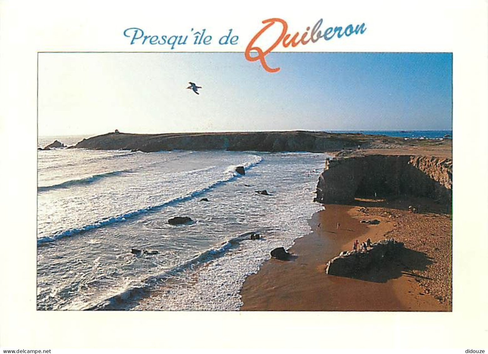 56 - Presqu'Ile De Quiberon - CPM - Voir Scans Recto-Verso - Quiberon