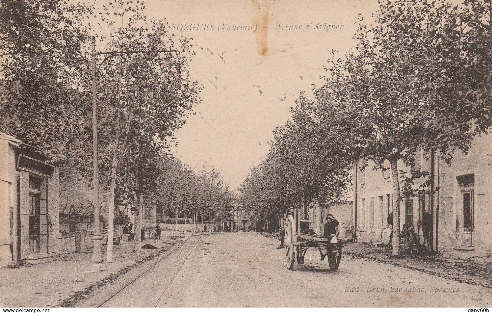 REF.AC . CPA . 84 . SORGUES . AVENUE D'AVIGNON (charette ) - Sorgues