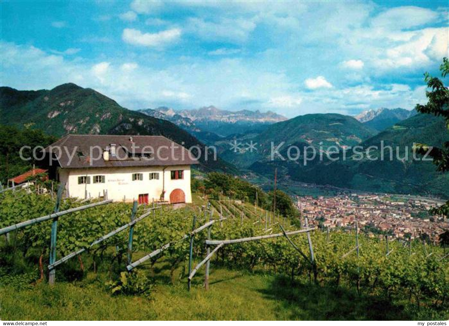 72781166 Bozen Suedtirol Urlaub Auf Dem Bauernhof Talblick Alpenpanorama Bozen S - Sonstige & Ohne Zuordnung