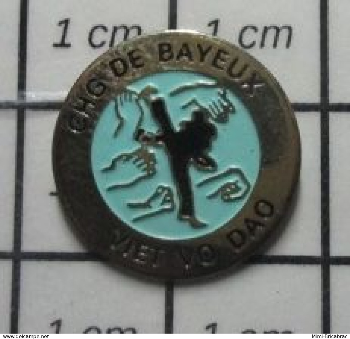 1818B Pin's Pins / Beau Et Rare / SPORTS / JUDO KARATE VIET VO DAO Pas Etienne ! CHG DE BAYEUX - Judo