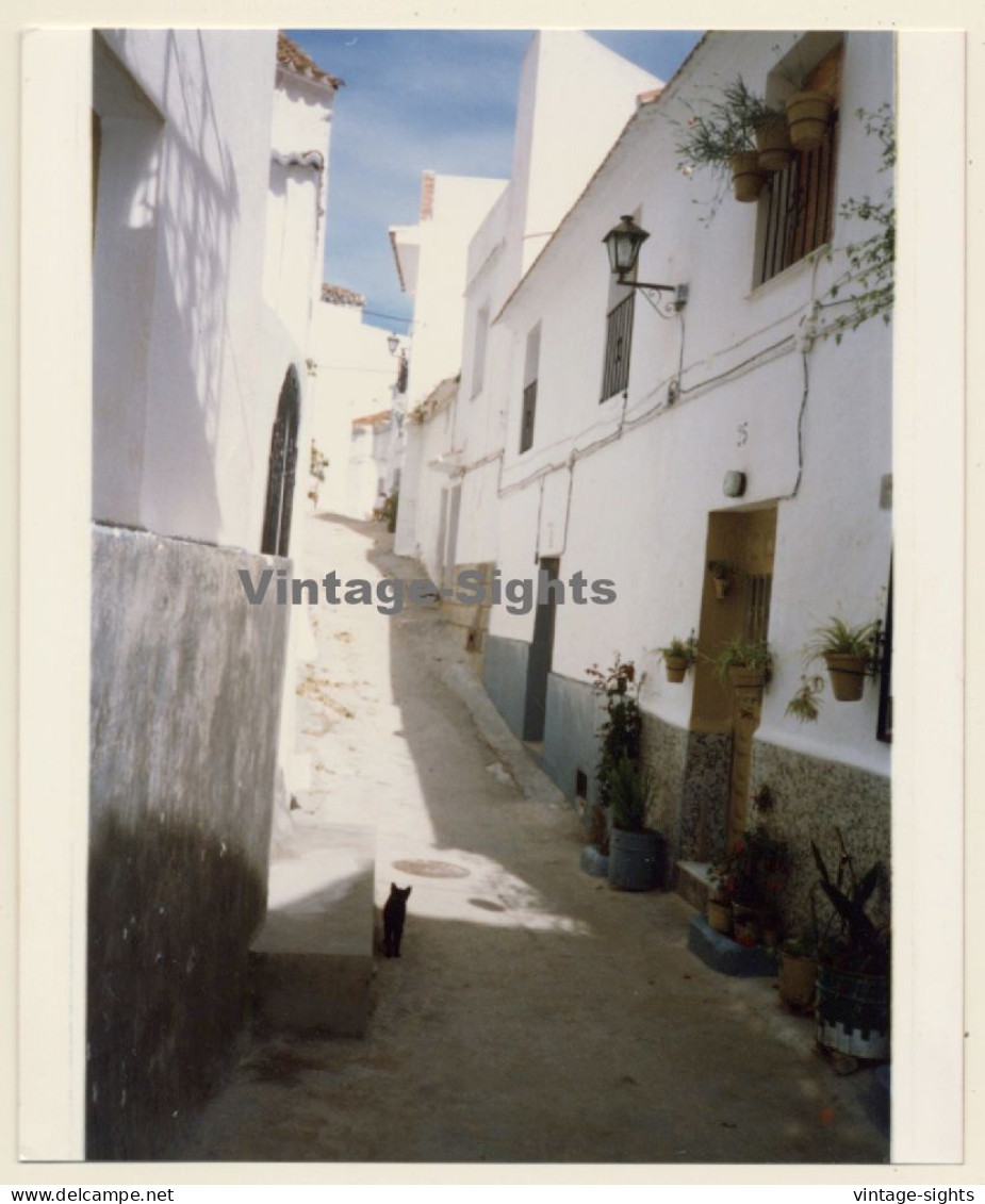 Lydia Nash: Black Cat In Ibiza Town Alley (Vintage Photo 1980s) - Europa