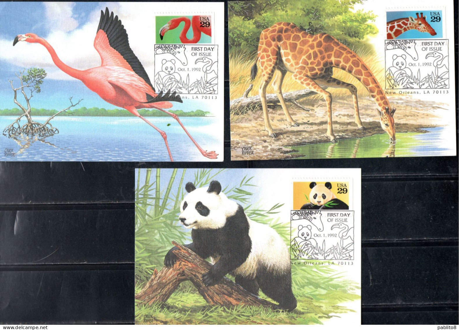 USA STATI UNITI 1992 WILD ANIMALS COMPLETE SET SERIE COMPLETA MAXI MAXIMUM CARD CARTE CARTOLINA - Maximum Cards