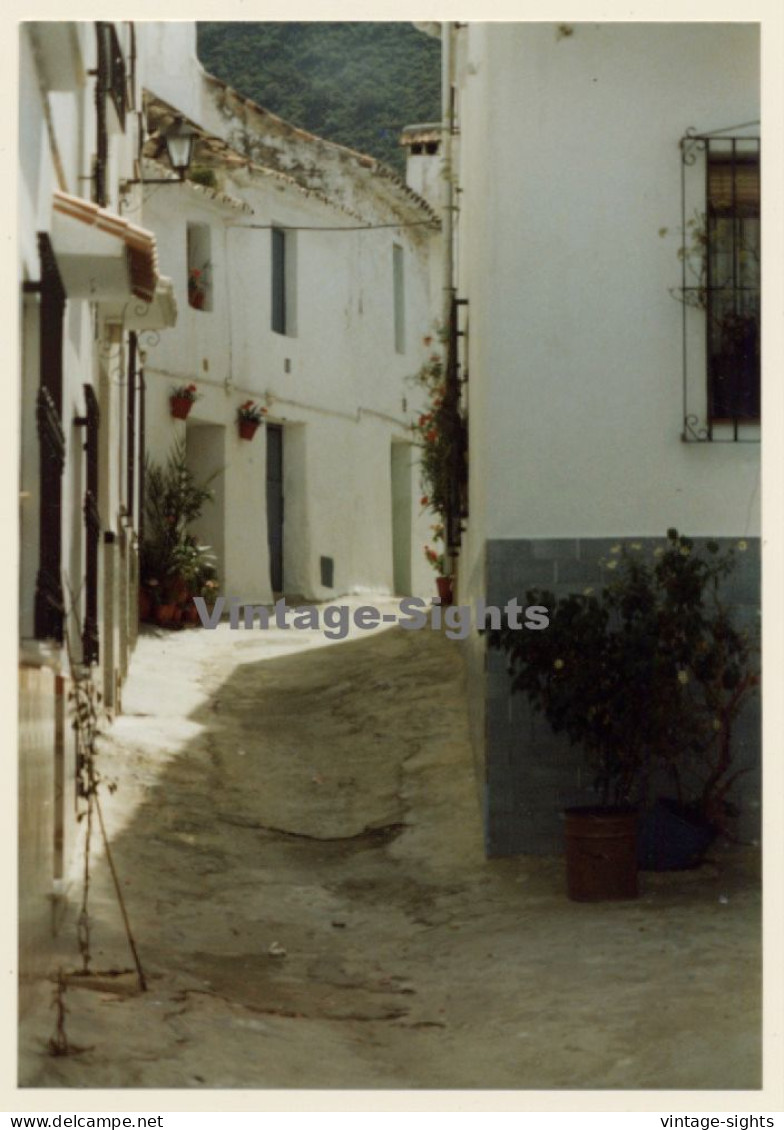 Lydia Nash: Backstreet Alley In Ibiza (Vintage Photo 1980s) - Europe