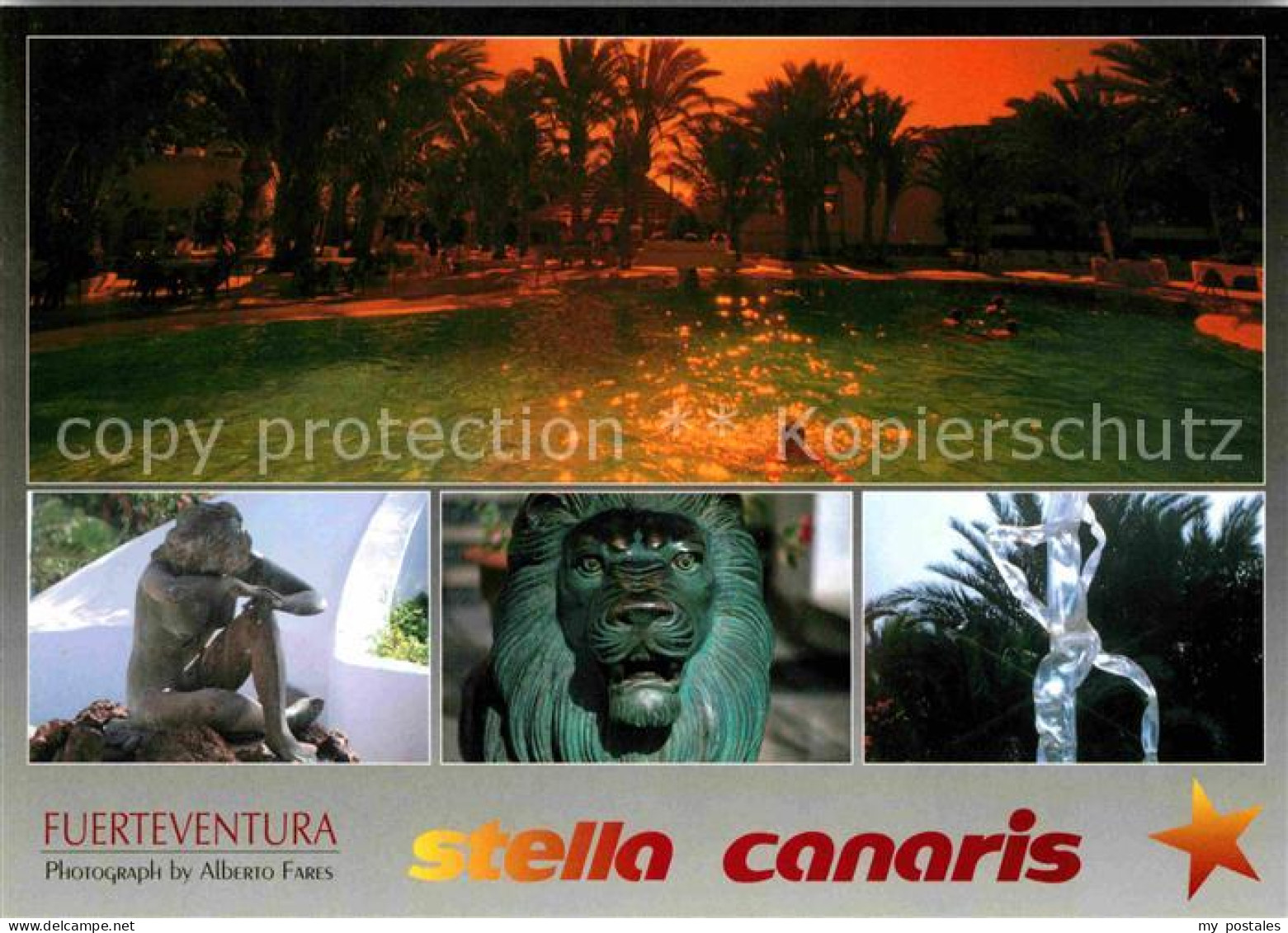 72779384 Fuerteventura Stella Canaris Fuerteventura - Andere & Zonder Classificatie