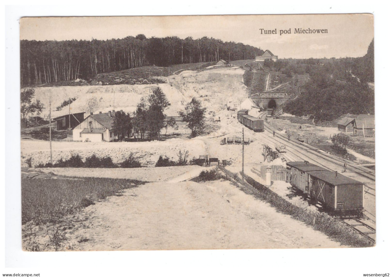 Poland Miechow, Train Vor Dem Tunnel, Tunel Pod Miechowem Ca 1910 - Polen