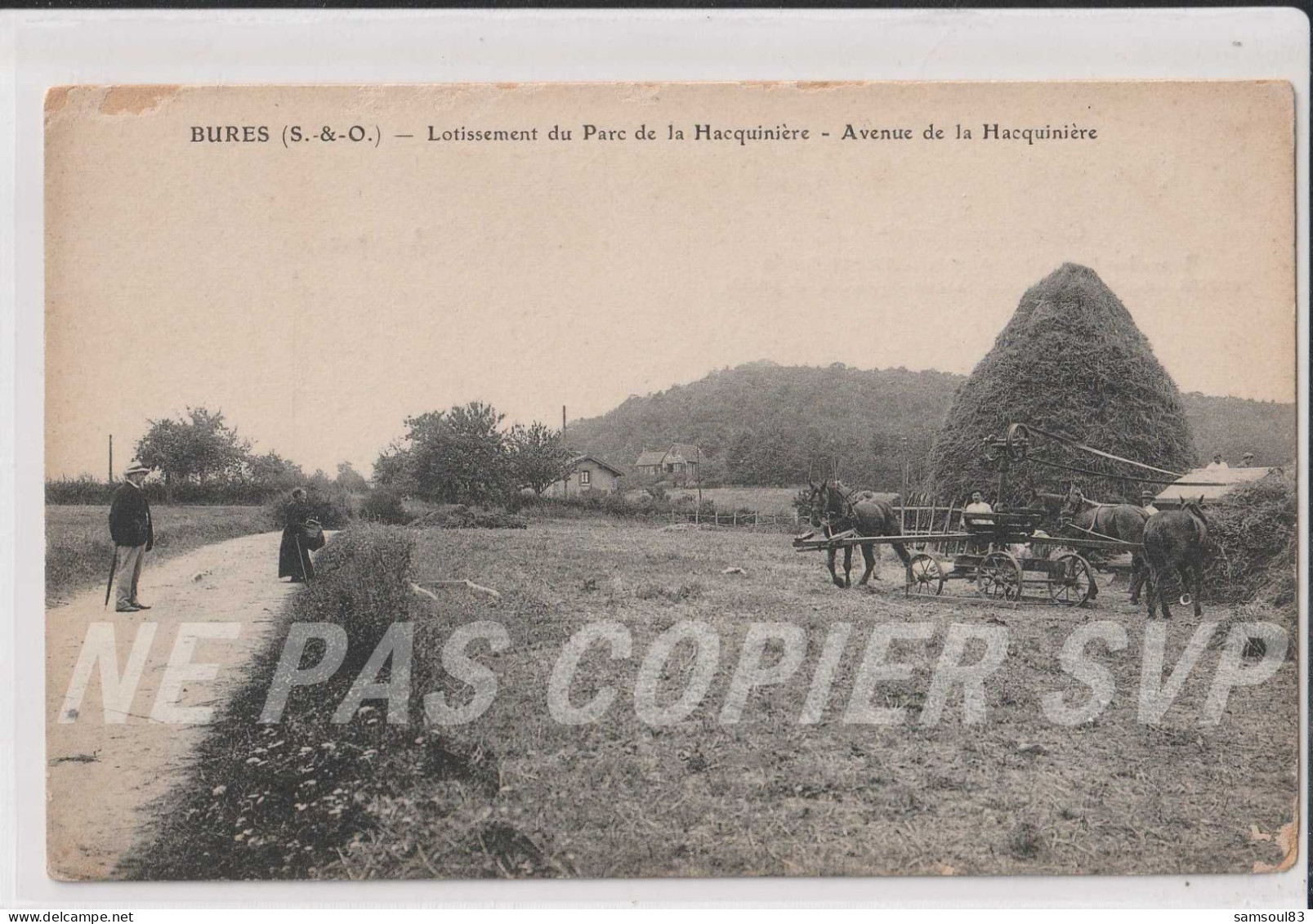 Carte Postale CPA Bures (91) Lotissement Du Parc De La Hacquinière Avenue De La Hacquinière Fenaison Foins - Bures Sur Yvette