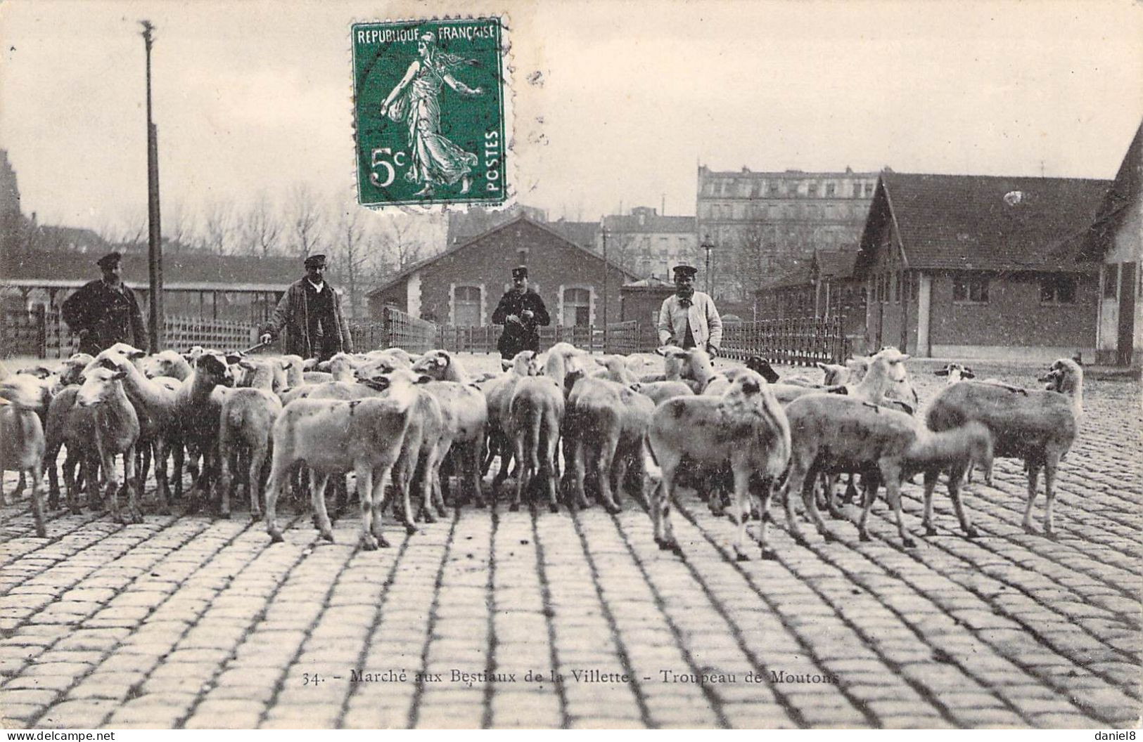 PARIS - Marché Aux Bestiaux De La Villette, Troupeau De Moutons - Arrondissement: 19