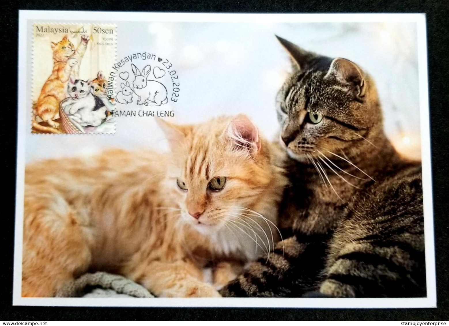 Malaysia Pets 2023 Pet Cat Cats (maxicard) - Malaysia (1964-...)