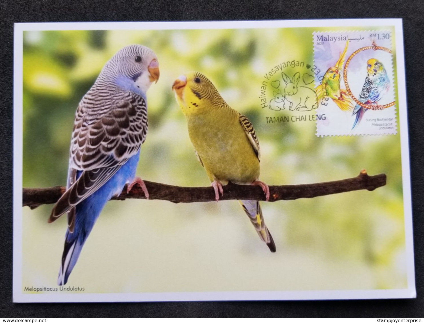 Malaysia Pets 2023 Pet Parrot Bird Birds (maxicard) - Malasia (1964-...)