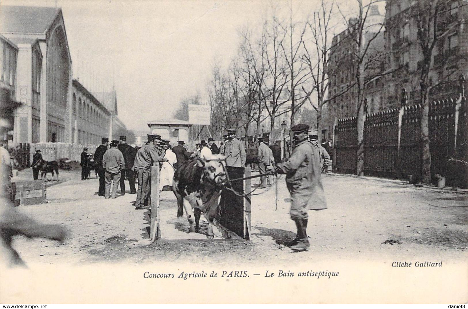 Concours Agricole De Paris - Le Bain Antiseptique - Other & Unclassified