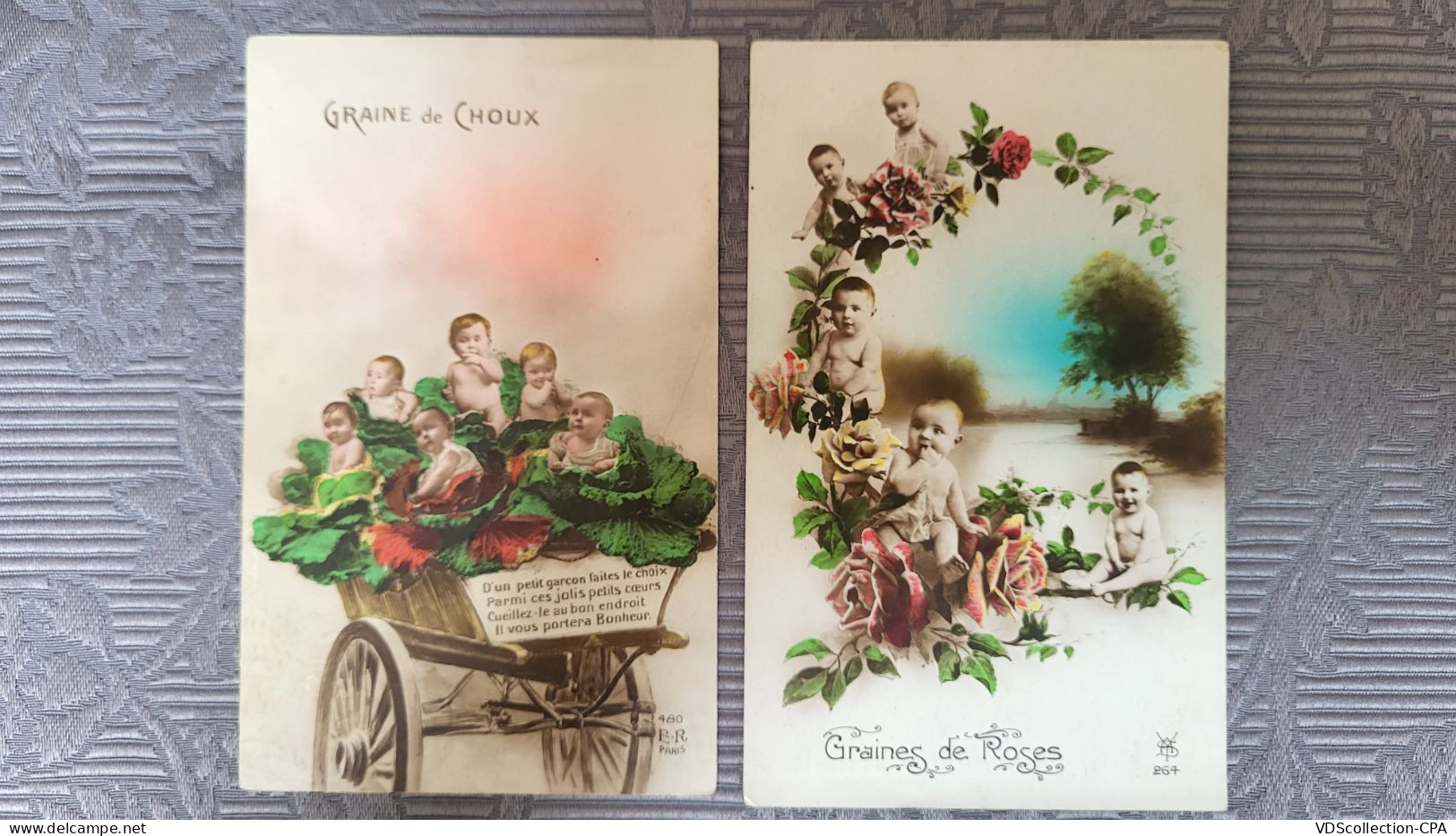 2 CPA - FANTAISIE BEBES - GRAINES DE CHOUX ET GRAINES DE ROSES -  ADORABLE - Babies