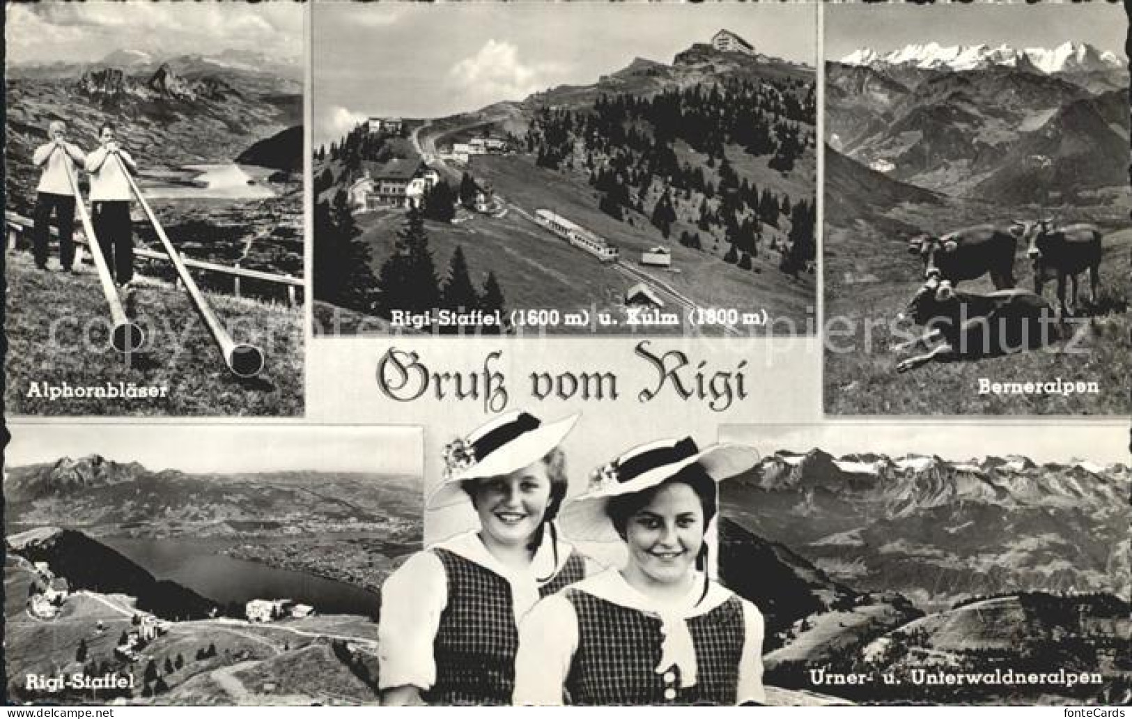 12922419 Rigi Kulm Alphornblaeser Rigi Staffel Alm Kuehe Trachten Alpenpanorama  - Andere & Zonder Classificatie