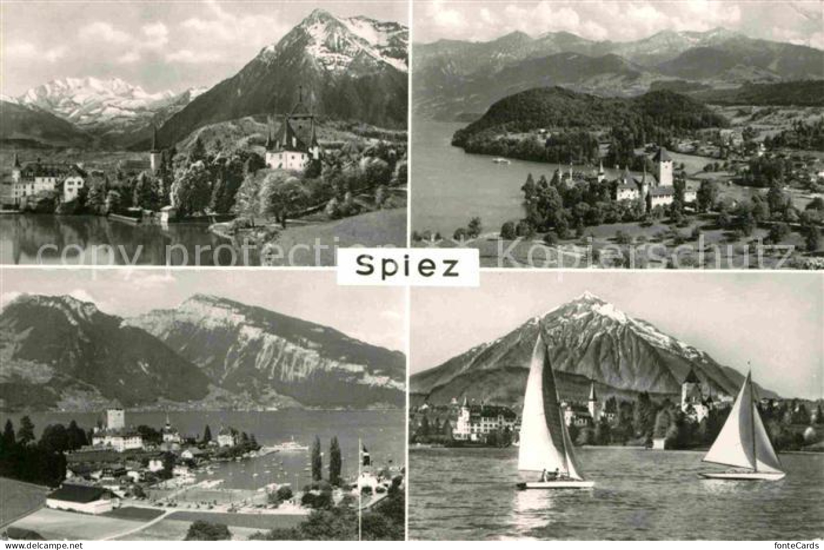 12895737 Spiez BE Panorama Thunersee Alpen Segelboot Spiez - Andere & Zonder Classificatie