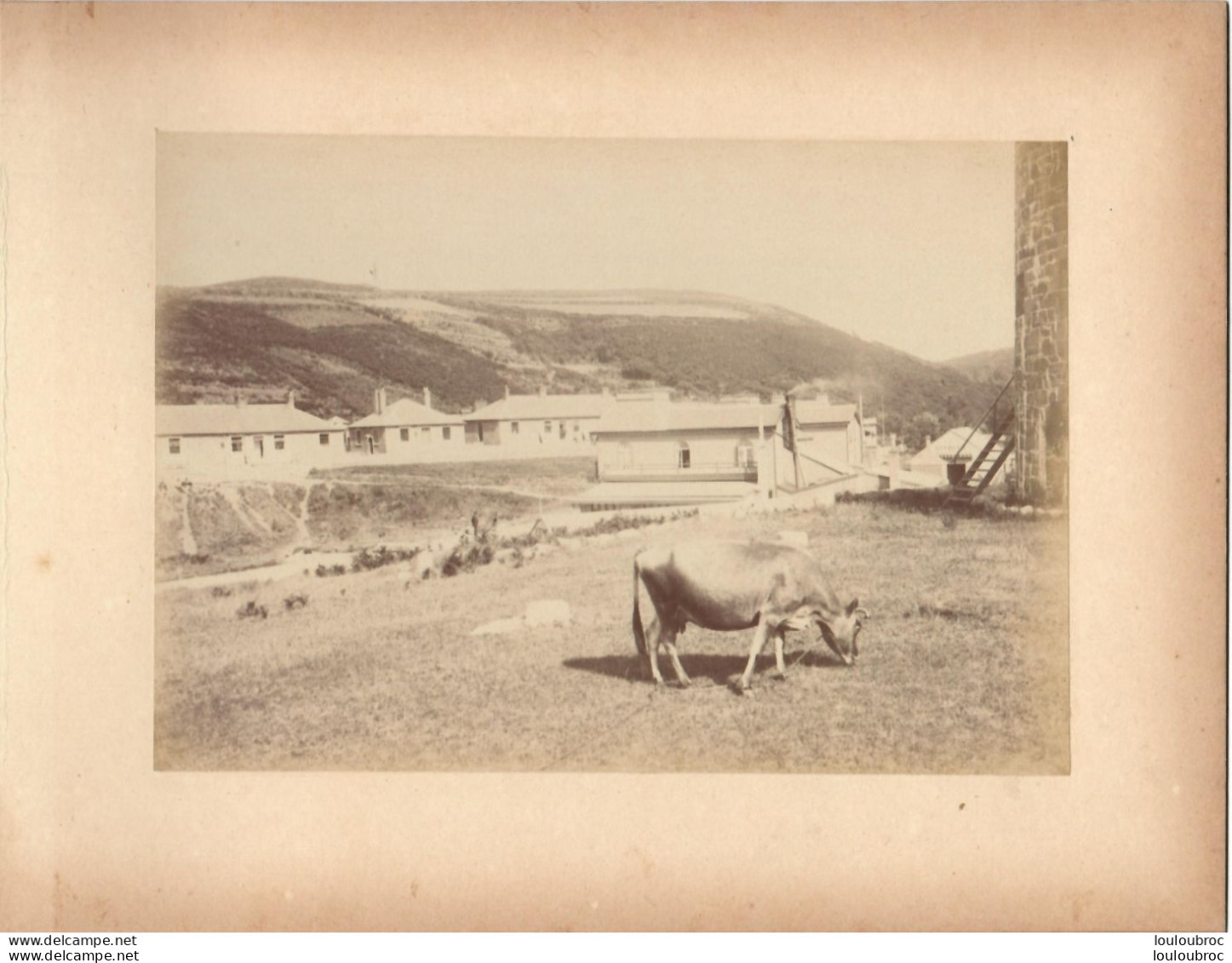JERSEY FIN 19e SIECLE GREVE DE LECQ BARAQUEMENTS  PHOTO ORIGINALE DE 17 X 12 CM COLLEE SUR CARTON - Anciennes (Av. 1900)