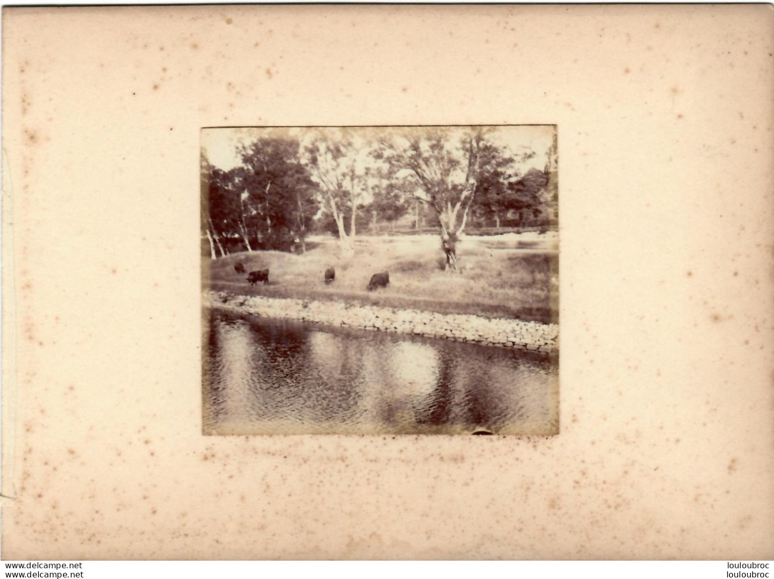 MUIRTOWN LE CANAL CALEDONIEN  ECOSSE FIN 19em PHOTO ORIGINALE 8x7CM COLLEE SUR CARTON DE 18x13cm - Anciennes (Av. 1900)