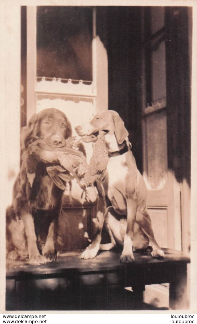 LA PLATA 1925 ECRITE PAR LE PROPRITAIRE DE SES CHIENS DE CHASSE R1 - Autres